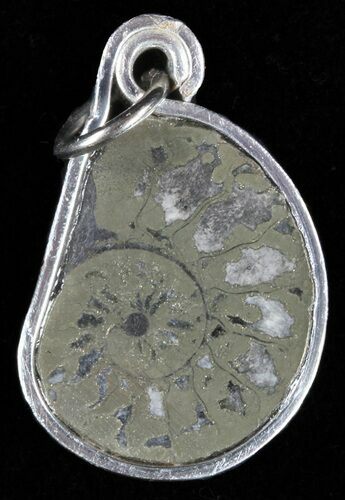 Pyrite Replaced Ammonite Fossil Pendant #58417